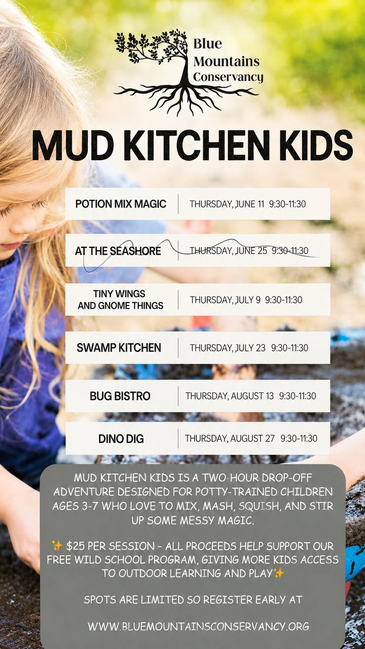 Mud Kitchen Kids summer series runs June through August