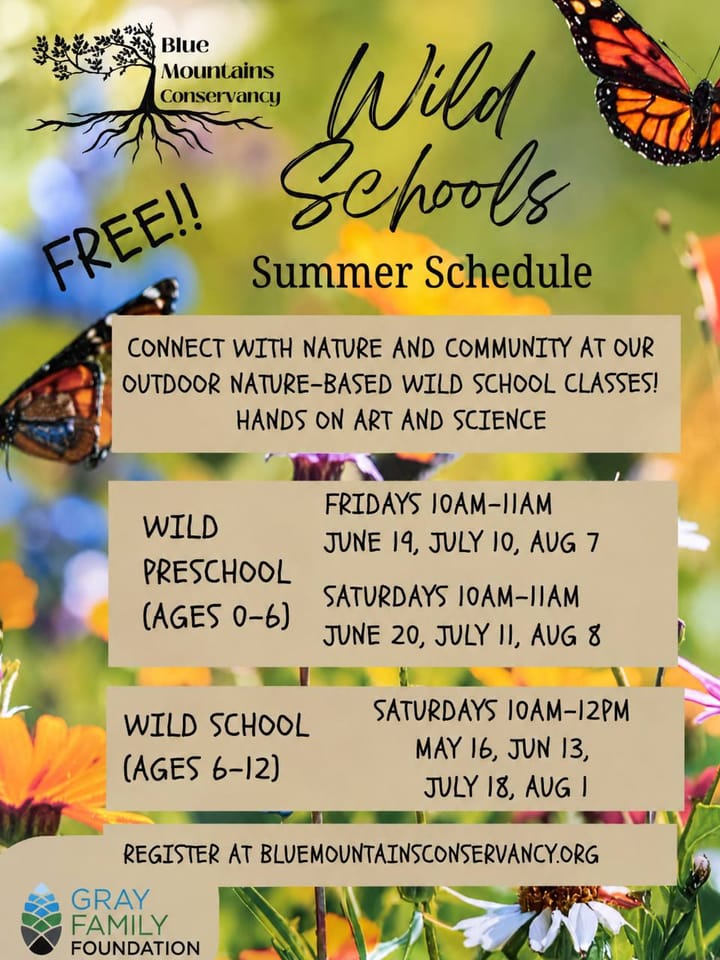 Blue Mountains Conservancy Wild Schools summer schedule