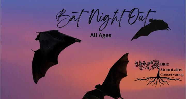 Bat Night Out at Heritage Pond Education Center